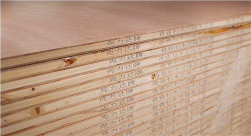 1505123608969204.jpg